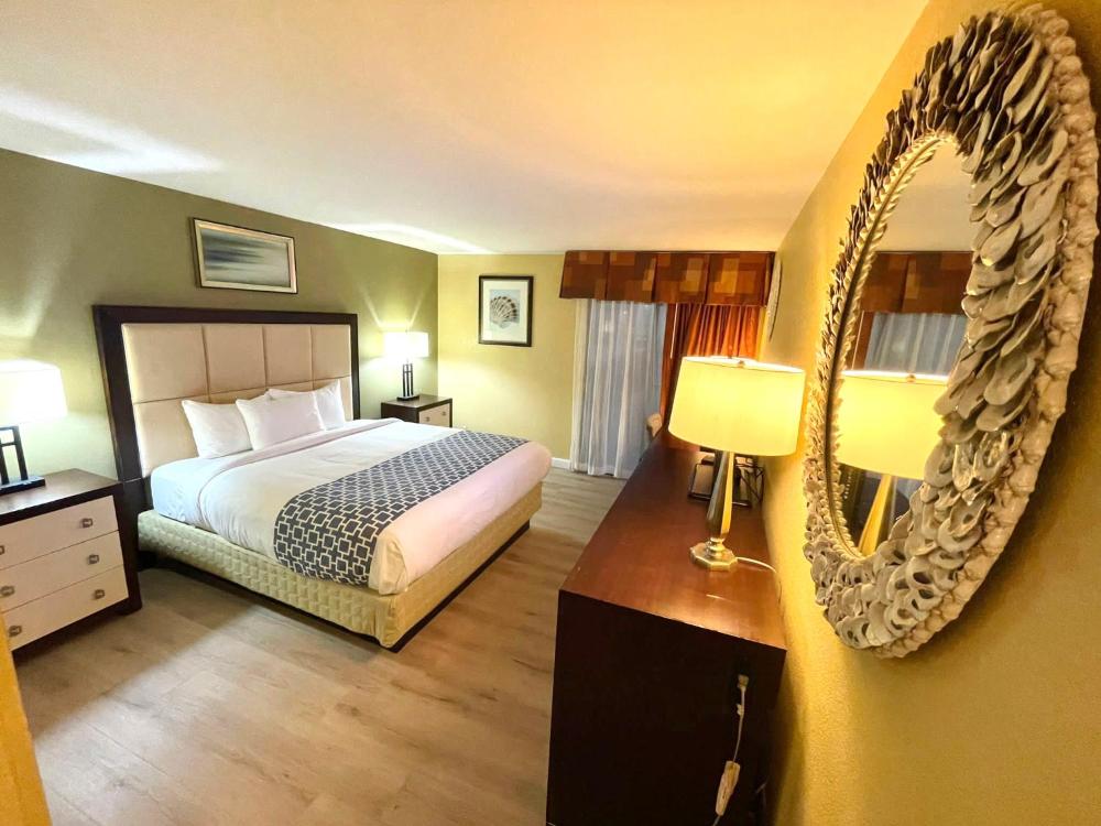 Standard Single Room interior
